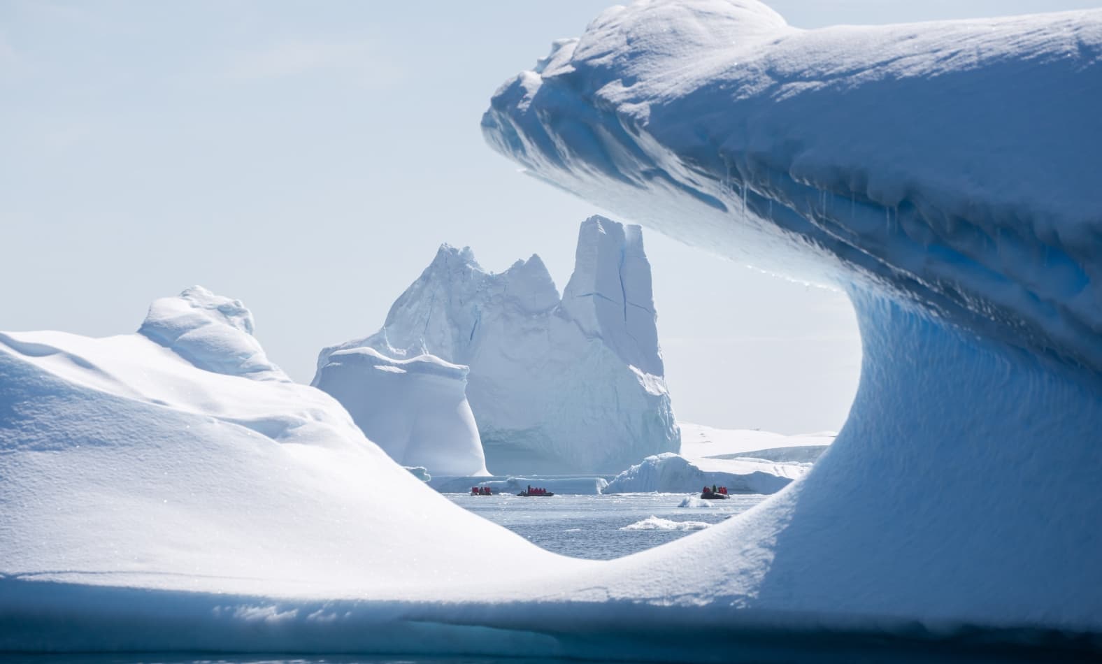 Zodiac expeditions
