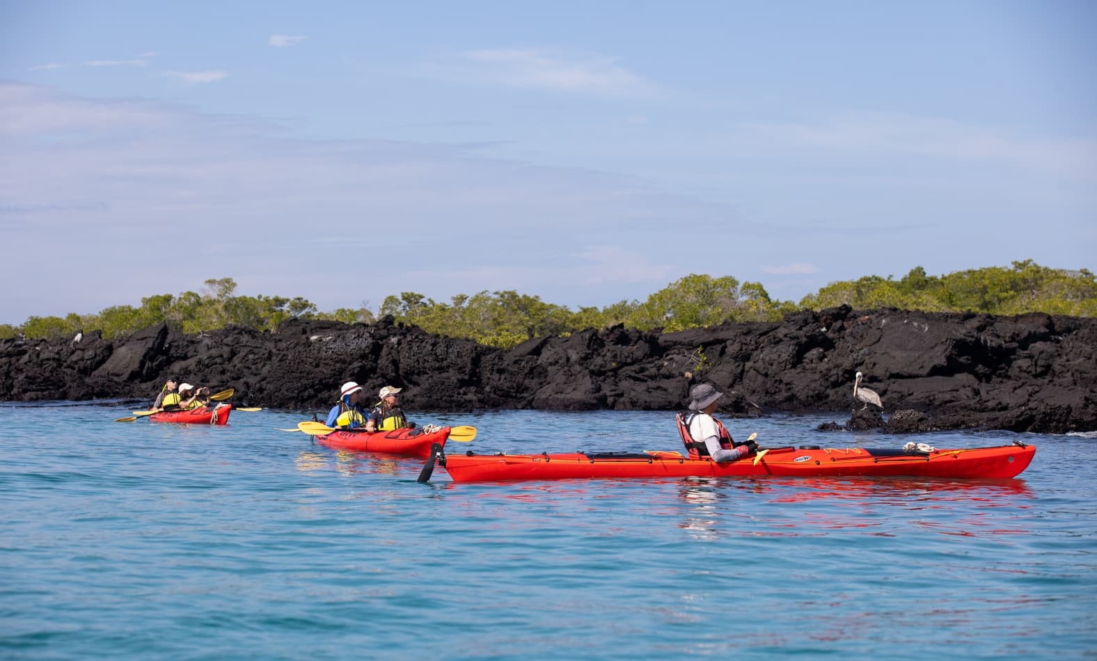 Kayaking expedition