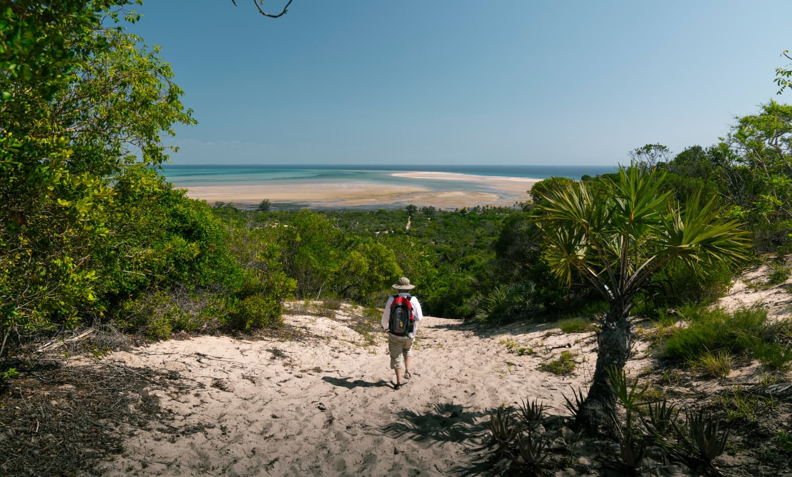 Walking in the Kariega Reserve