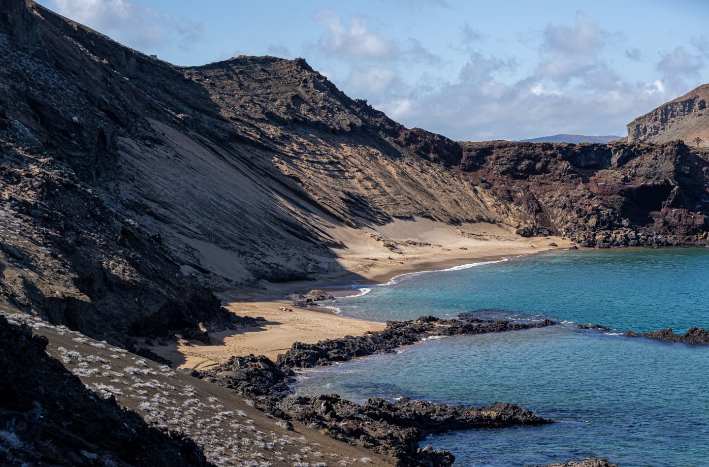 Exploring the Galápagos