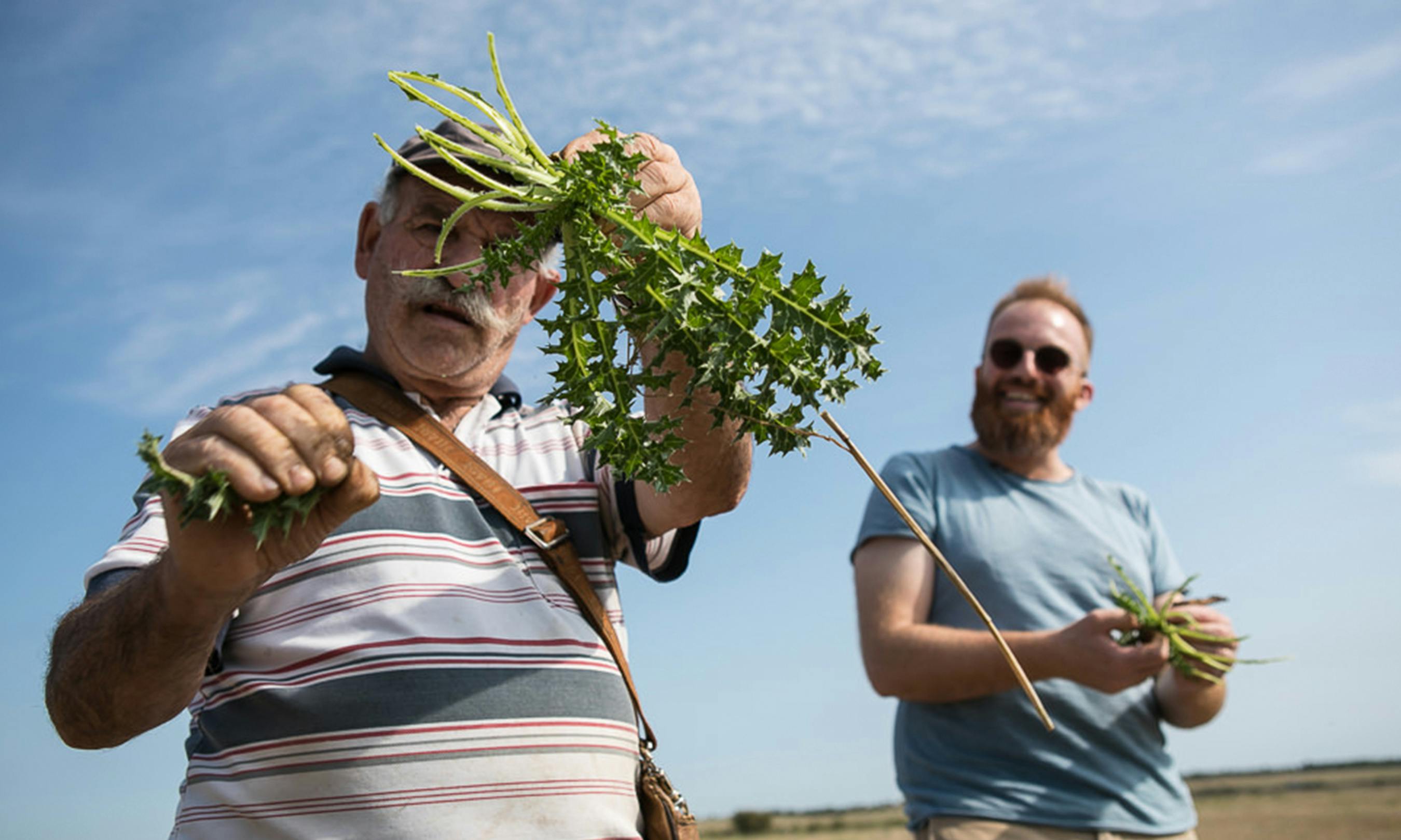 In Puglia, foraging for foodstuff is a S.A.L.T. Experience